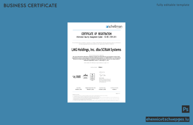 USA LMG-Registrierungszertifikat – Word- und PDF-Beispielvorschau
